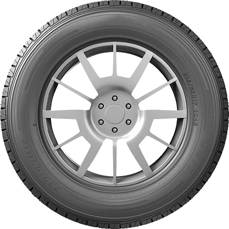 RXQUEST-C02-Summer-LTC-Side-Tyre